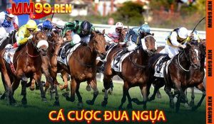 Cá Cược Đua Ngựa